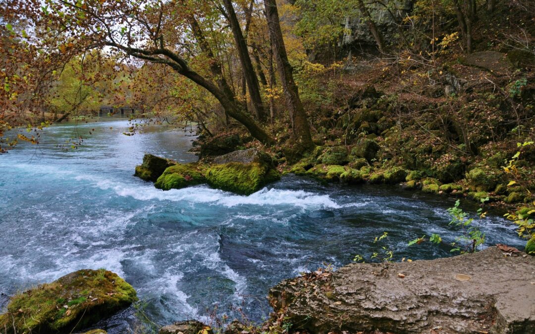 Big Spring by Patty Wheatley-Bishop